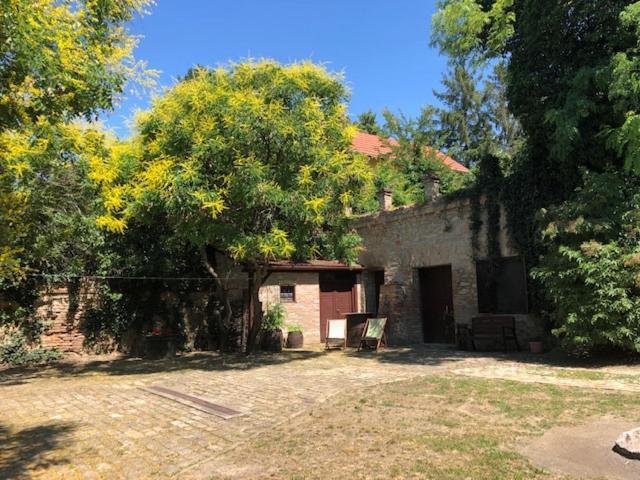 לינה וארוחת בוקר Pannonhalma Panzio מראה חיצוני תמונה
